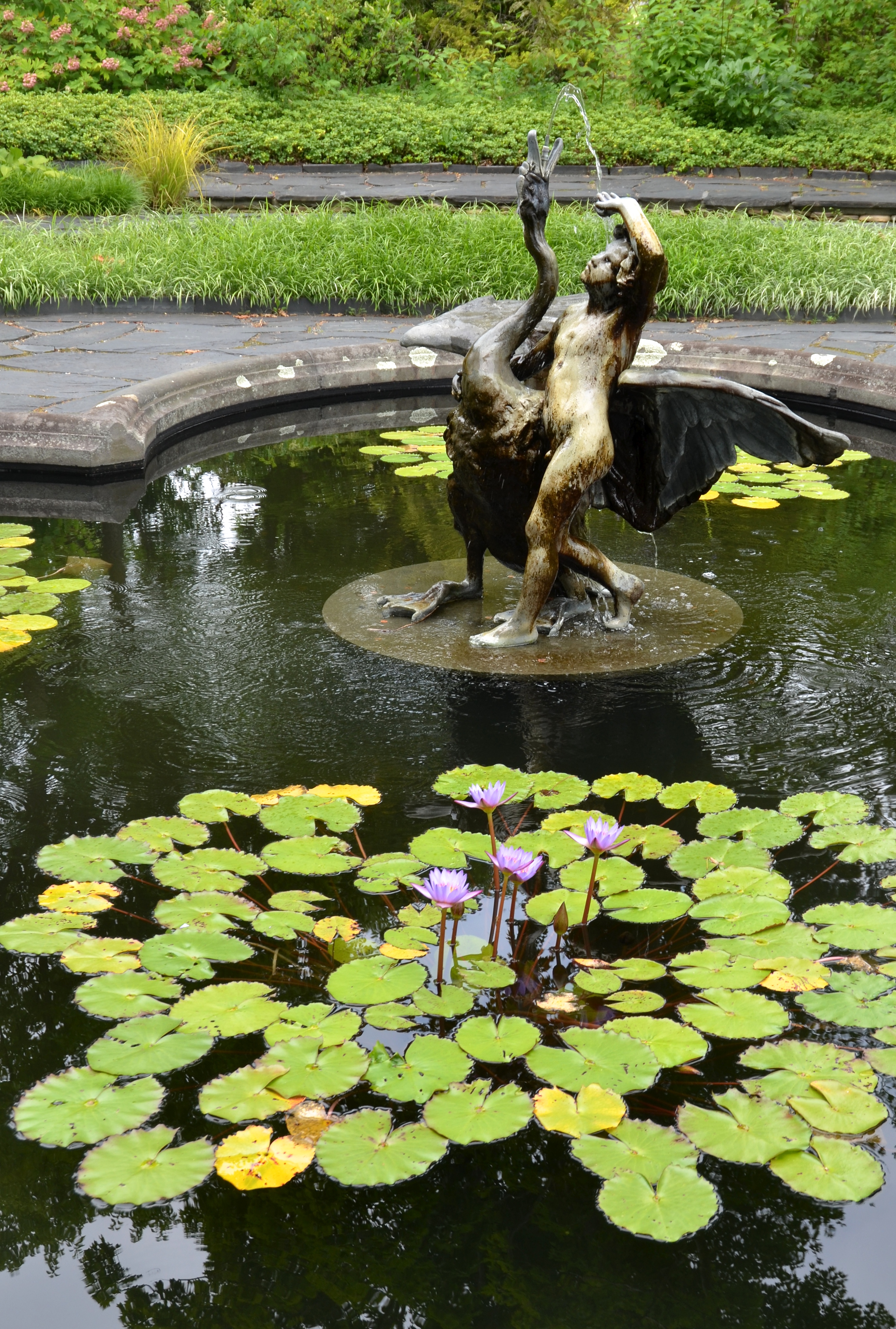 The Water Lily Garden at Ladew Topiary Garden