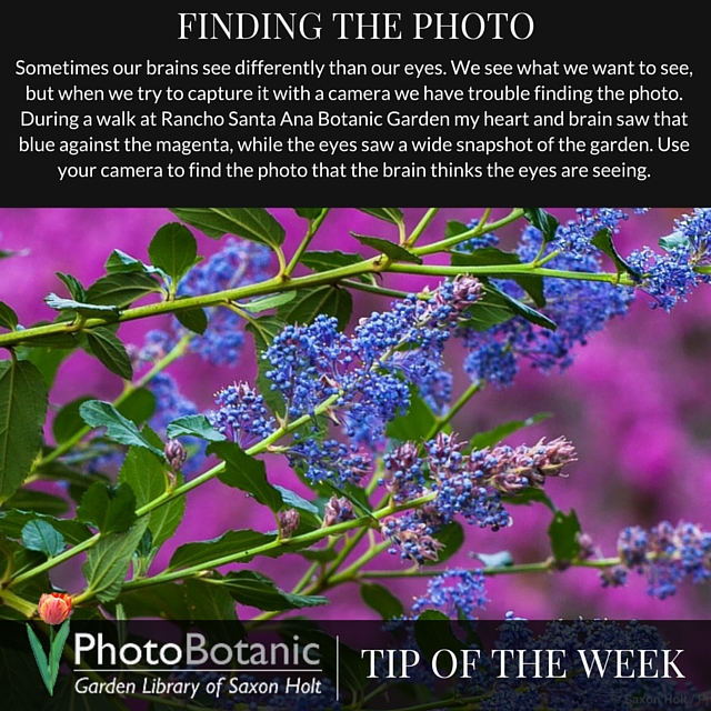 Finding the photo