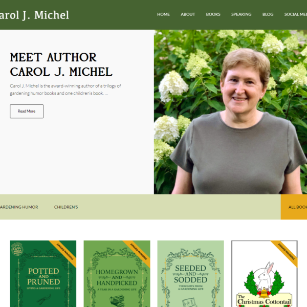 carol Michel website screenshot 8