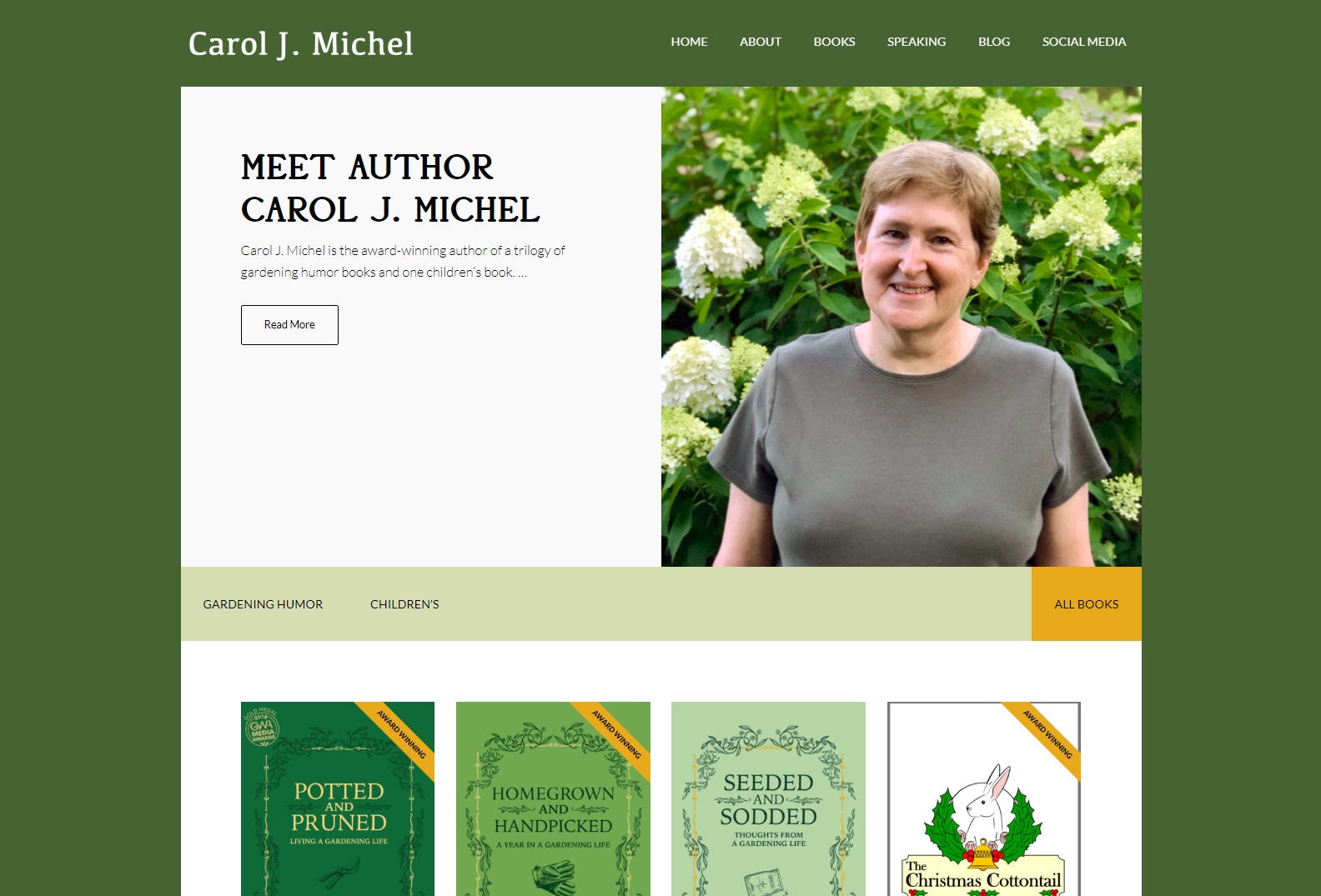 CAROLMICHEL Home 1 carol Michel website screenshot 8