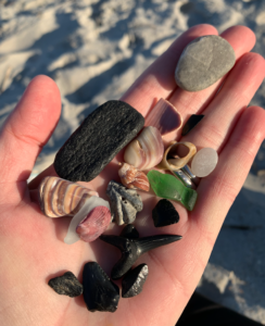 A hand holding seaglass, shark teeth fossils, rocks at the beach