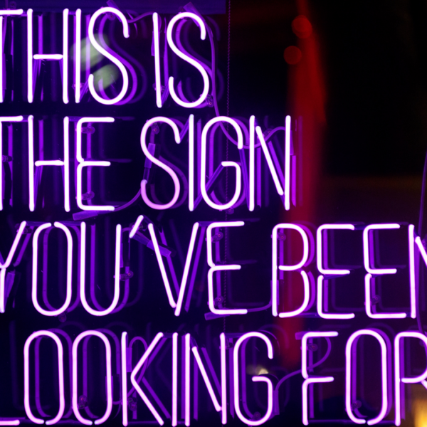 neon sign that says this is the sign you have been looking for